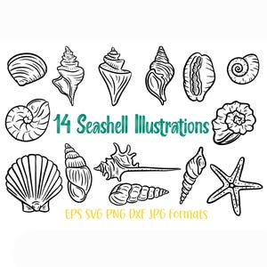 14 Seashell Shell Illustration SVG Logo Sticker Designs PNG