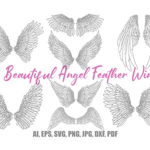20 Beautiful Feather Angel Wings Illustration Collection Clip Art Download Festive SVG PNG Clipart