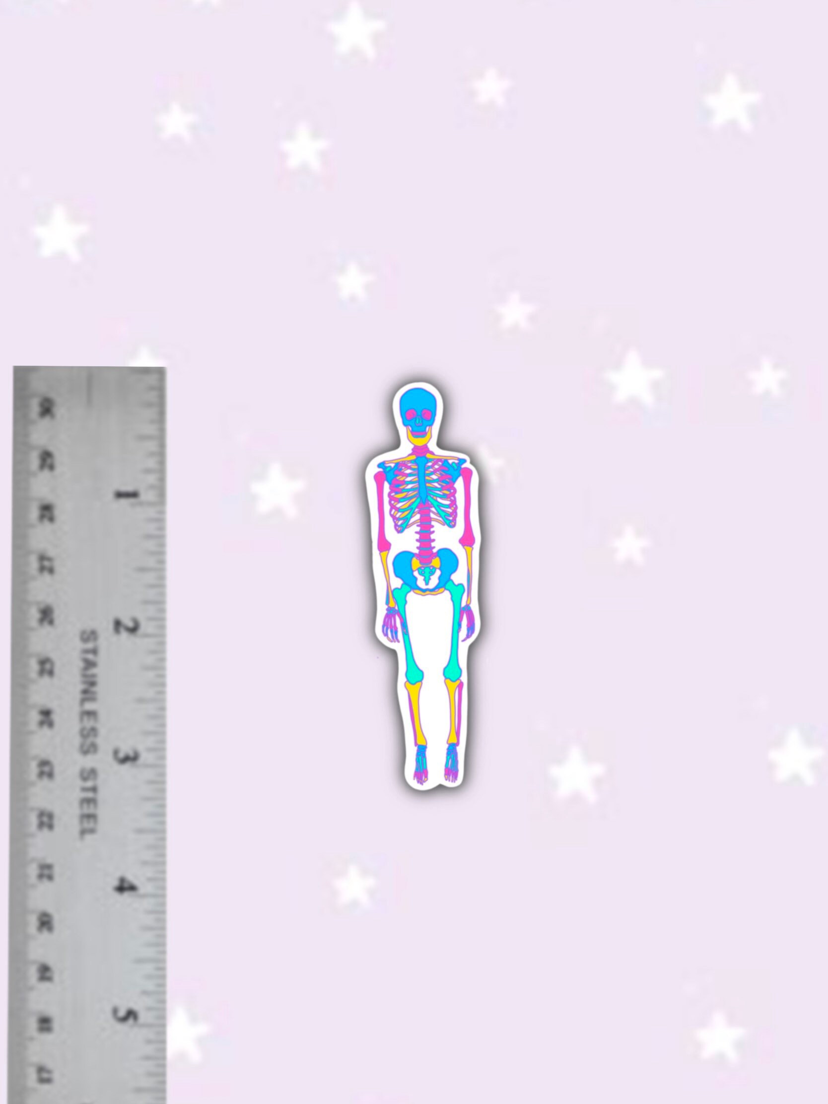 Anatomical Skeleton Sticker, STEM Sticker, Engineering Math, Laptop ...
