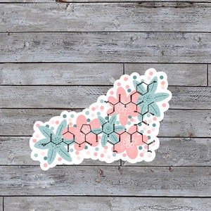 Könnte beinhalten: Ein Aufkleber mit einem floralen Design, das eine chemische Formel für ein Molekül zeigt. Die Blumen sind rosa und blau mit weißen Umrissen. Der Hintergrund ist ein hellgraues Holz.