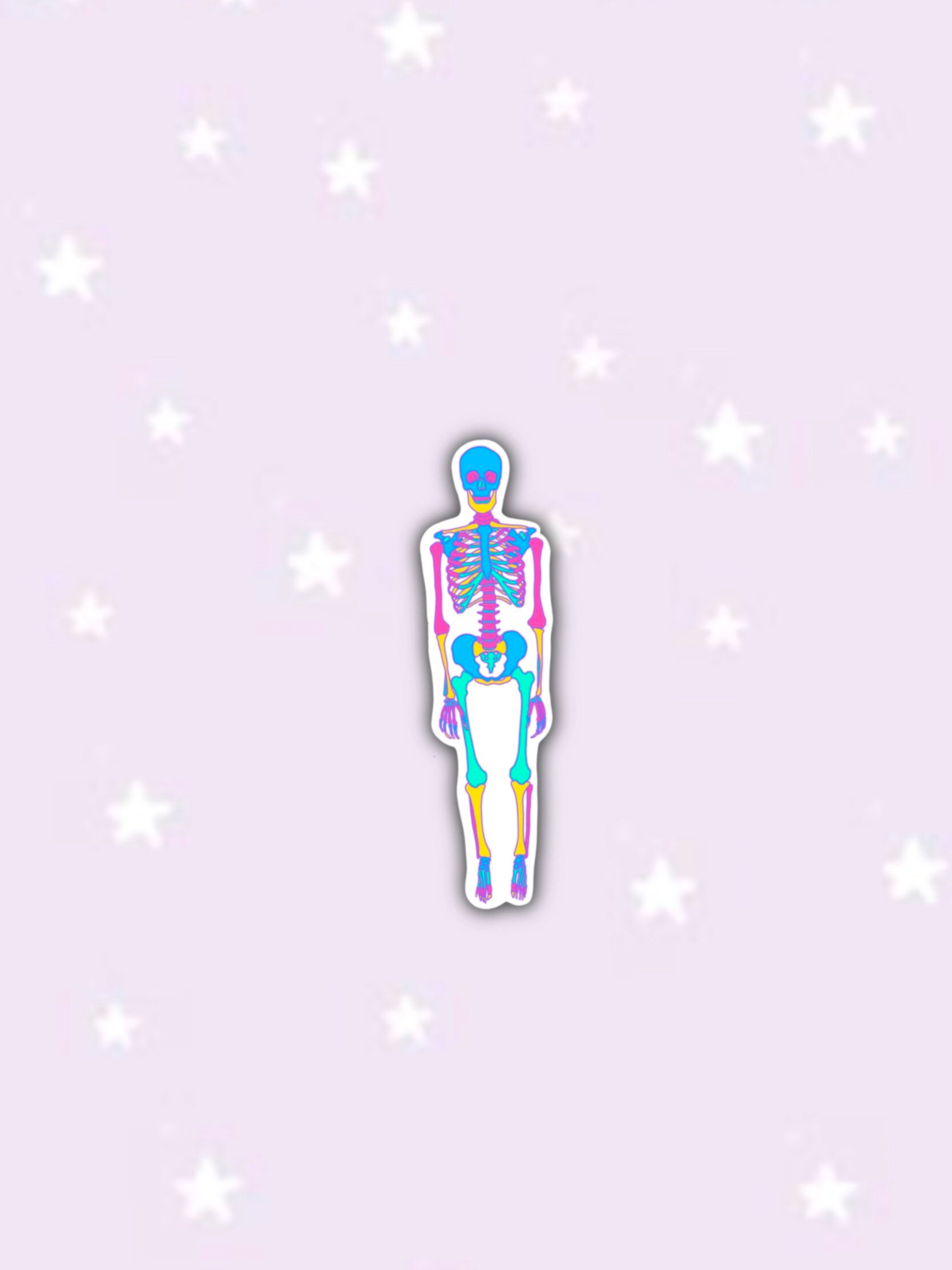 Skeletal System Sticker Anatomical Skeleton Sticker, STEM Sticker, Engineering Math, Laptop ...