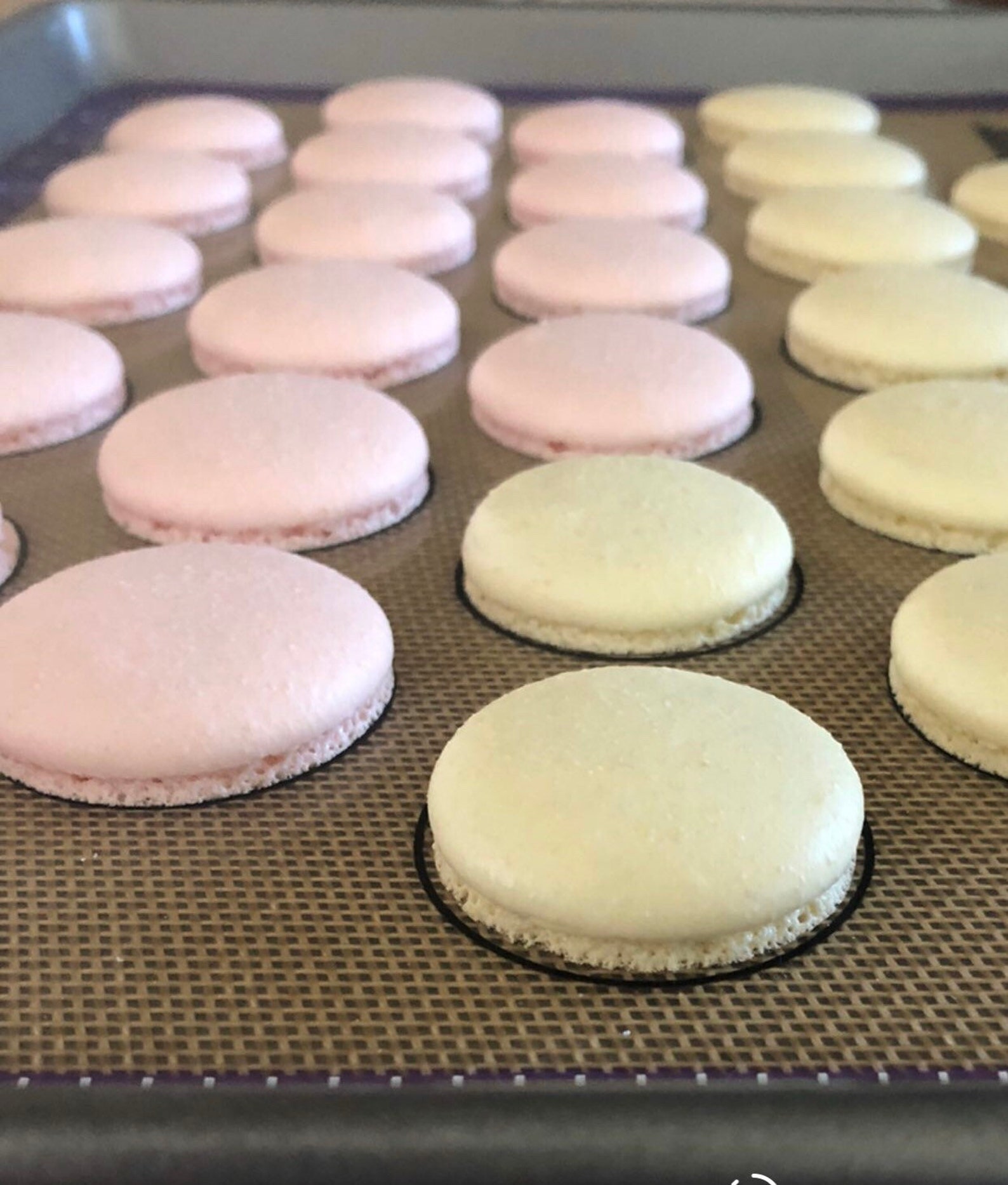 Macaron Shells- Only Shells, No Filling- 48 Pieces( 24 Macarons ...
