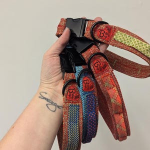 Może przedstawiać: Trzy kolorowe obroże dla psa z czarną klamrą i czerwonym logo z napisem "Off Leash Dog Co."