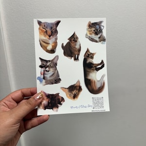 May include: A sheet of stickers featuring seven different watercolour illustrations of cats. The stickers are printed on white paper and have a glossy finish. The text "Hearts of Glass Shop" and a QR code are printed in the bottom right corner.