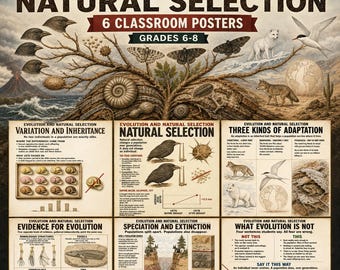 Evolution and Natural Selection Posters | 6 Printable Biology Charts | Middle School Science Decor | 18x24