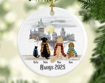 Personalized Wizard Pets Family Ornament, Magic Pets Ornament, Wizard Dog Ornament, Wizard Cat Gift, Pet Memorial Gift
