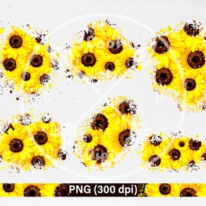 Puede incluir: Seis diseños digitales de papel con girasoles amarillos con centros marrones sobre un fondo blanco con salpicaduras negras. PNG (300 dpi)