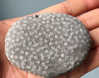 A Unique Healing Stone with Fossils from Ireland - Rare Celtic Wishing Stone - Rare Fossil Stone, Fossil Rocks, Healing Stone 144/128g
