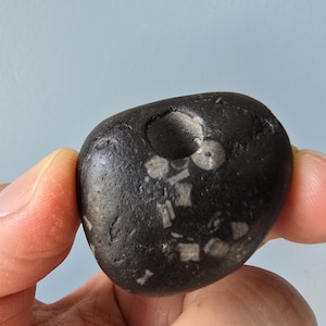 Una rara pietra celtica con un grande foro e fossili dall'Irlanda - Pietra delle fate, pietra della strega irlandese, pietra della fortuna, pietra della vipera, pietra della strega