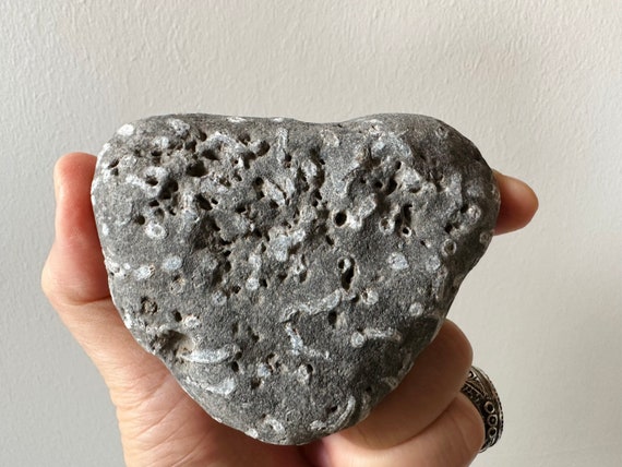 非常に珍しい巨大なハート型のアイルランドの化石石、化石がぎっしり