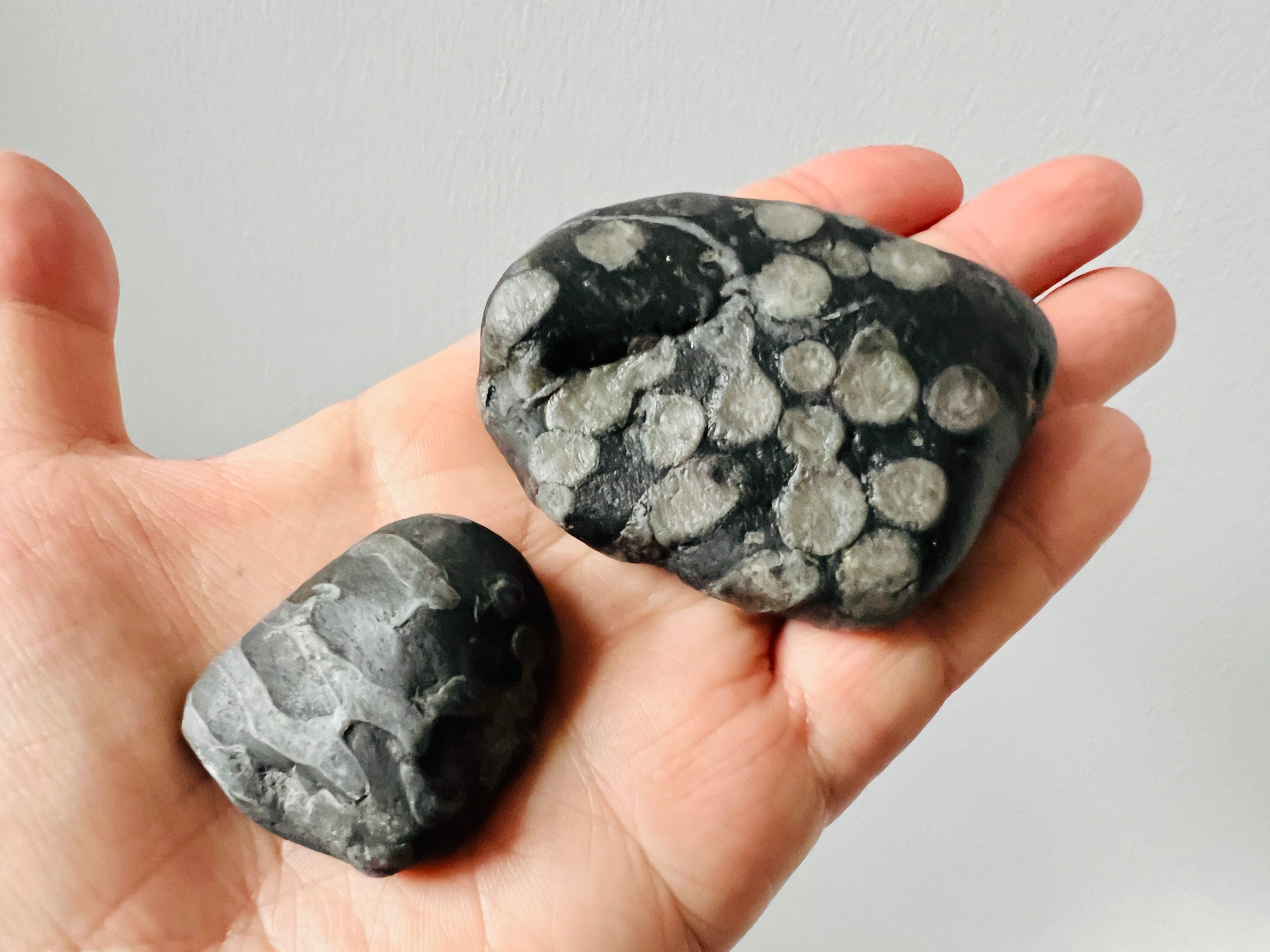 Houseables Piedra de cristal, mármoles, guijarros para jarrones, azul, 5  libras, 400-500 piedras, fondo plano, rocas de parte superior redonda,  gemas
