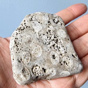 Rare Big Piece of Ancient Healing Fossil Stone - Rare Celtic Stone - Rare Irish Stone, Rare Fossil Stone - Stone for Healing-3/133g