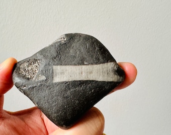 Very Rare Black Irish Fossilized Stone With Full Fossils - Rare Celtic Stone - Rare Fossil Stone -142