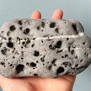 Könnte beinhalten: Ein grauer, poröser Stein mit weißen Adern, die durch ihn verlaufen. Der Stein hat eine raue, strukturierte Oberfläche und ist mit kleinen Löchern bedeckt.