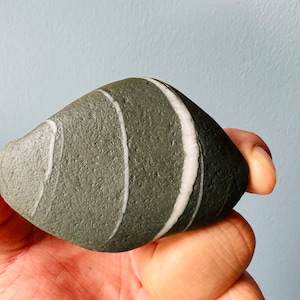 May include: A smooth, gray stone with white stripes. The stone is oval-shaped and has a natural, polished look.
