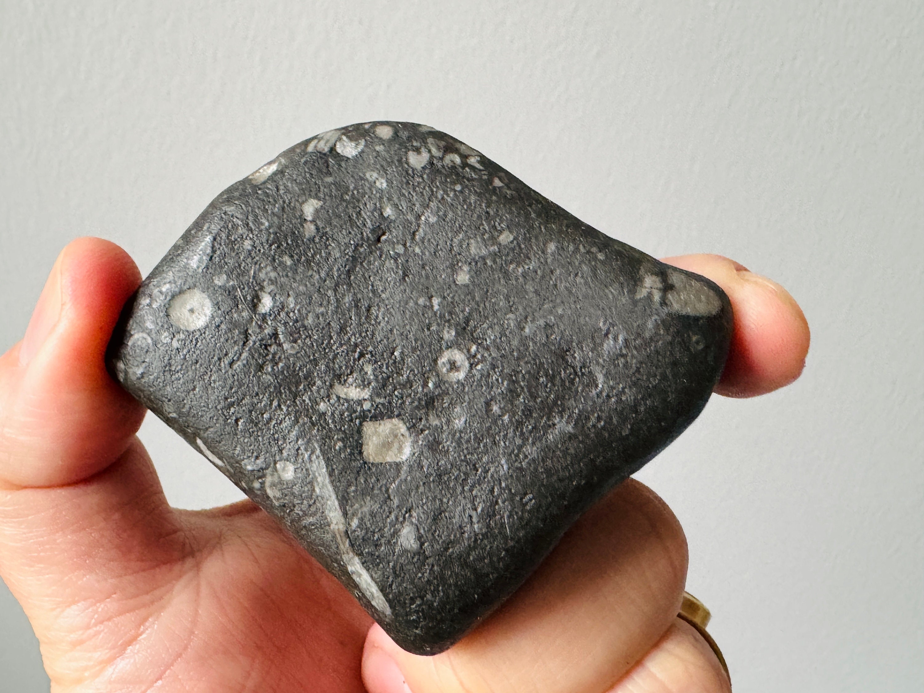 石付きトショウ（かなり持ち込み古い） 大谷石限定特価品。表面3級 約60x300前後x910～950前後mm角欠け