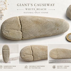 Könnte beinhalten: Ein hellbeiger, länglicher, natürlich gespaltener Stein vom Giant's Causeway White Beach. Der Stein weist einen deutlichen horizontalen Riss auf seiner Oberfläche auf. Ein Metalllineal zeigt eine Länge von etwa 16,5 Zentimetern.