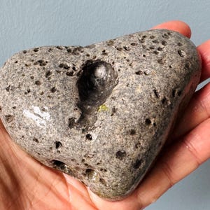 Rara pietra grigia irlandese a forma di cuore, pietra dei desideri e pietra delle fate con intarsi di quarzo: grande, potente, unica nel suo genere. 350 g