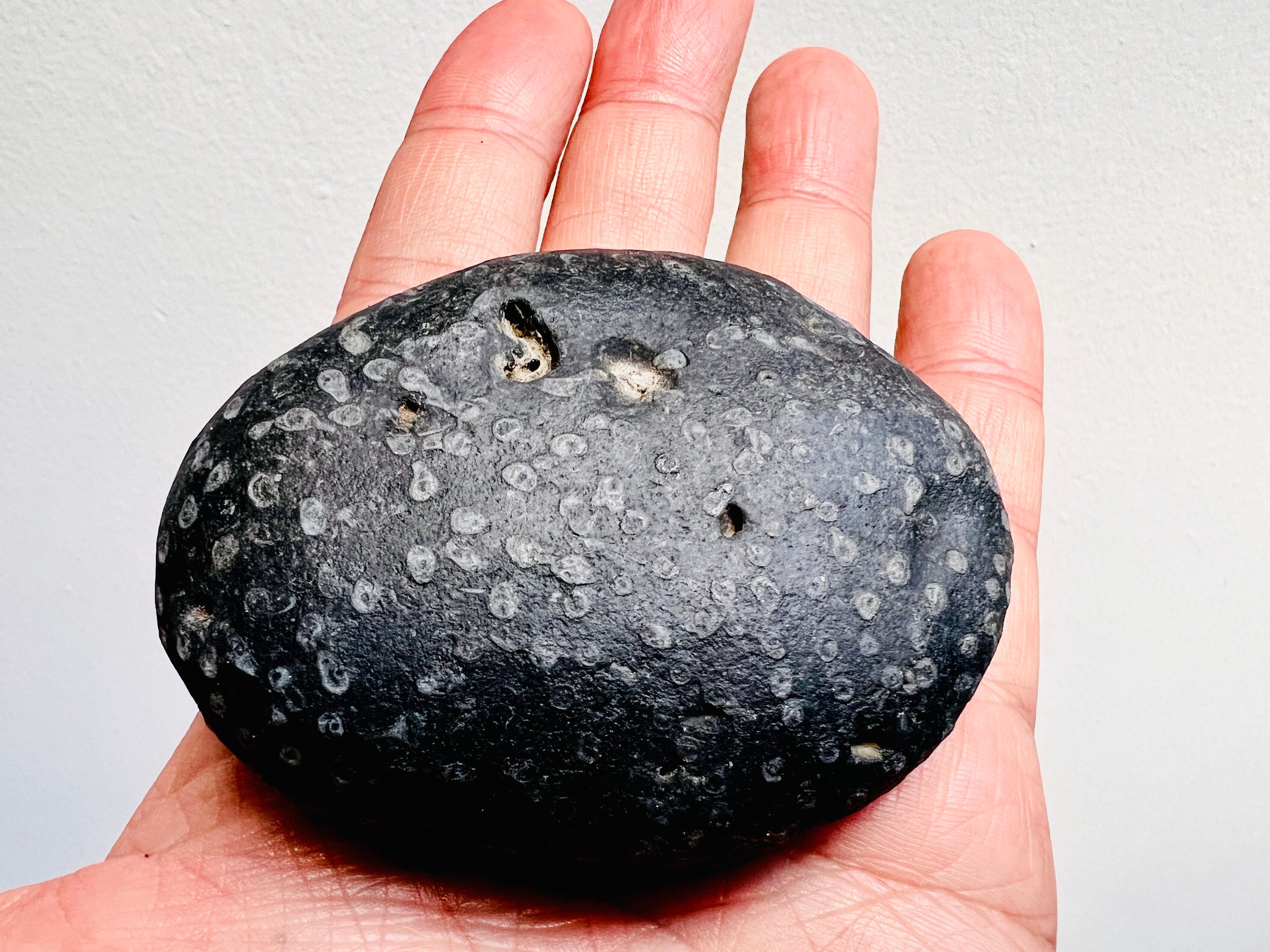 A Unique Pebble with Fossilized Communal Coral from Ireland - Rare Celtic Stone - Rare Fossil Stone, Fossil Rocks, Fossil Healing -141/154g