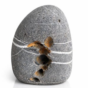 May include: A gray, oval-shaped stone with white horizontal stripes and a large, irregular hole. The stone has a rough texture and a natural, weathered appearance. The hole reveals a brown interior.