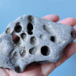 Capolavoro molto raro di pietra della strega con due grandi fori e molti quasi fori, pietra della strega, pietra della vipera, pietra della strega, portafortuna 138/175 g