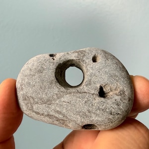 May include: A gray, rounded stone with a large, central hole and several smaller holes. The stone has a smooth texture and is held between fingers against a light blue background. This unique stone could be used for crafts or as a decorative item.