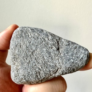 Very Rare Irish Fossil Stone With Full Rhabdinopora Fossils - Rare Celtic Stone - Rare Fossil Stone -60/129g