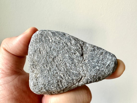 アンモナイト 化石 ペルー アンデス山脈 産 深く尖った肋（ろく）が