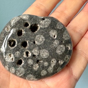 Un'enorme pietra di strega maestra con corallo fossilizzato comunitario dall'Irlanda - Pietra fossile, rocce fossili, pietra curativa fossile -11