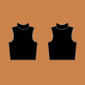 Puede incluir: Un top negro sin mangas con cuello alto y silueta ajustada. El top se muestra en vista frontal y posterior.