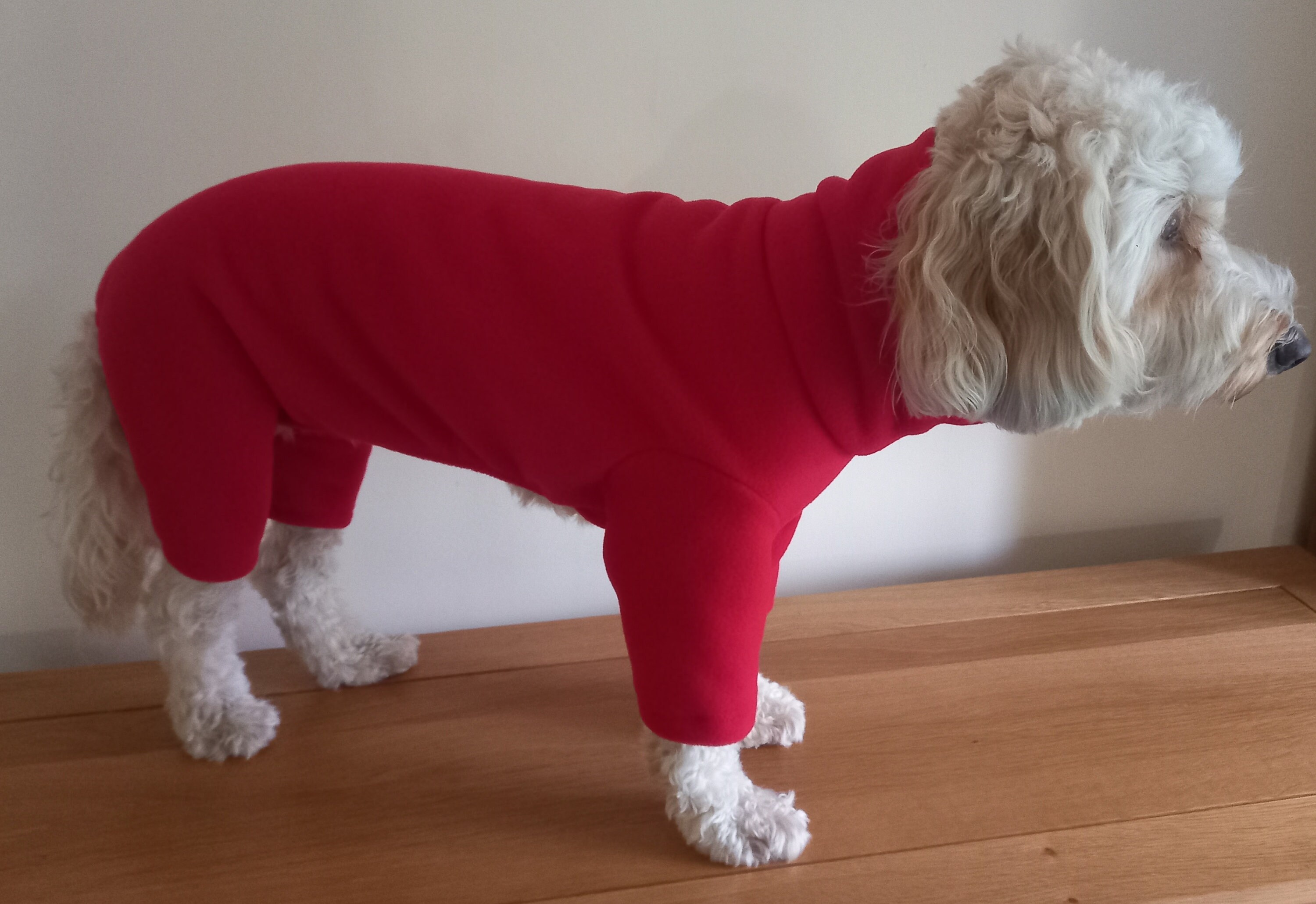 Fleece Dog Suit medium Etsy UK