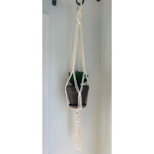 May include: A white macrame plant hanger with a brown terracotta pot and a green plant inside. The hanger is hanging from a wooden ring.