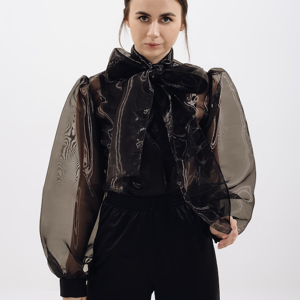 Sheer black organza-silk blouse