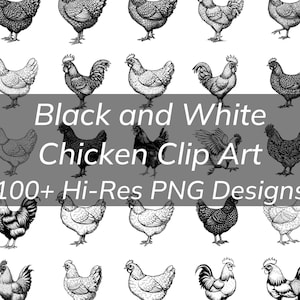 Paquete de imágenes prediseñadas de pollo en blanco y negro, más de 100 PNG transparentes, pollo, gallina, gallo, polluelo, imágenes prediseñadas en blanco y negro, imágenes prediseñadas de pollo divertidas