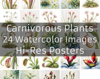 Carnivorous Plants Watercolor Image Bundle, Colorful Designs, Digital Download, Hi-Res 300 DPI