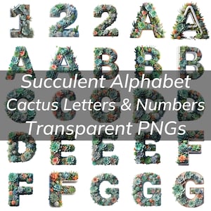 Paquete de alfabeto suculento, letras y números de cactus suculentos, PNG transparente, alfabeto suculento de cactus tema suculento y cactus