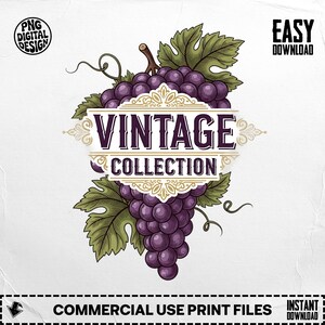 Vintagekollektion PNG, druvclipart, vin png, vingård png, retrodruvor, sublimeringspng, digital nedladdning