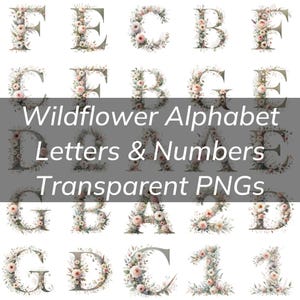 Wild Flowers Alphabet, WildFlower Letters and Numbers, Transparent PNG, Floral Alphabet, Adorned Letters