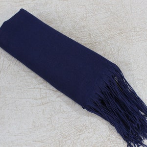 May include: A navy blue scarf with long fringe on one end.