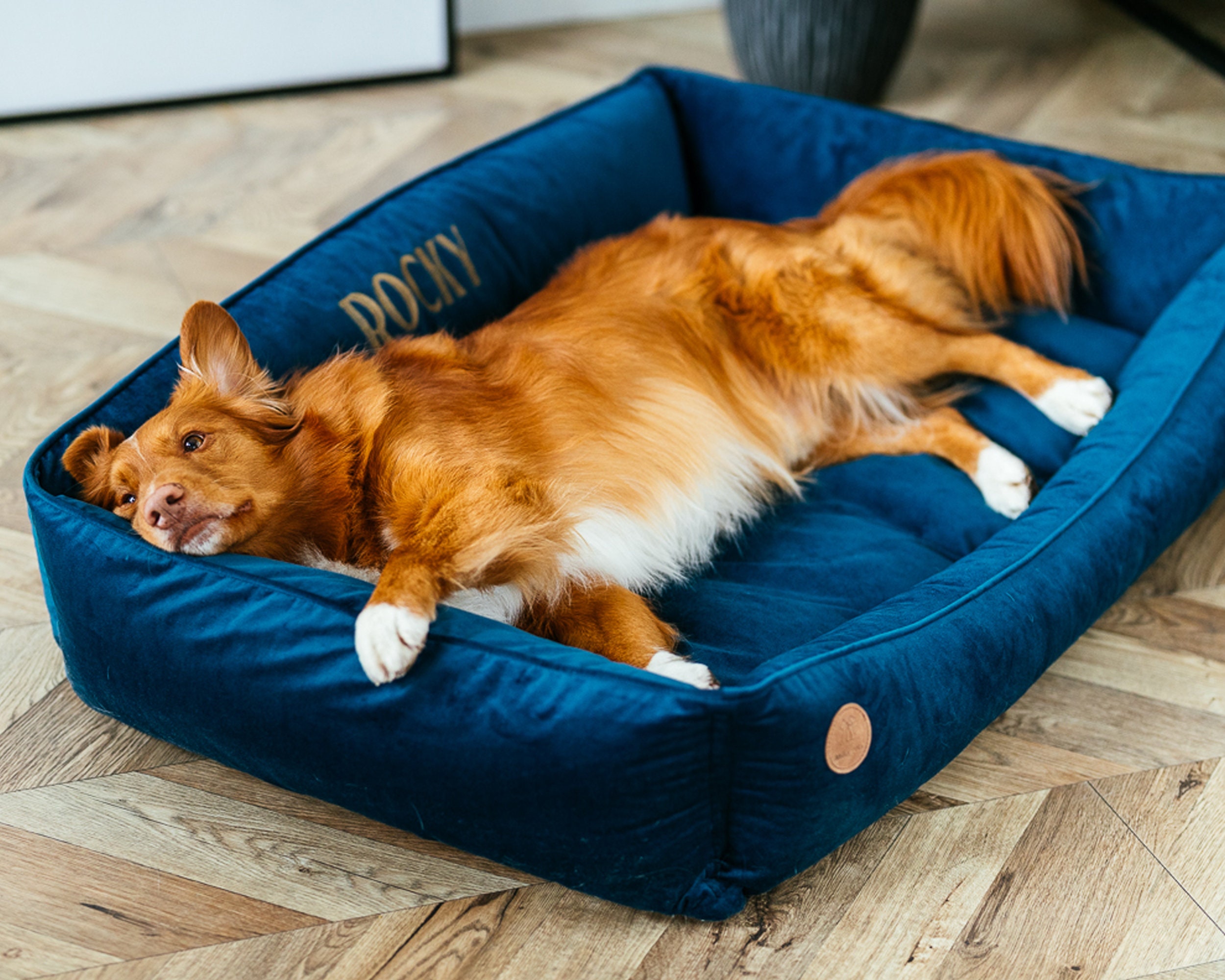 blue travel dog bed