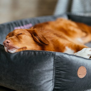 Cama de perro personalizada Bordado, Cubierta lavable y extraíble, Muebles personalizados calmantes Cama para perros / gatos, Gris Cama grande para gatos / mascotas xs- xxl