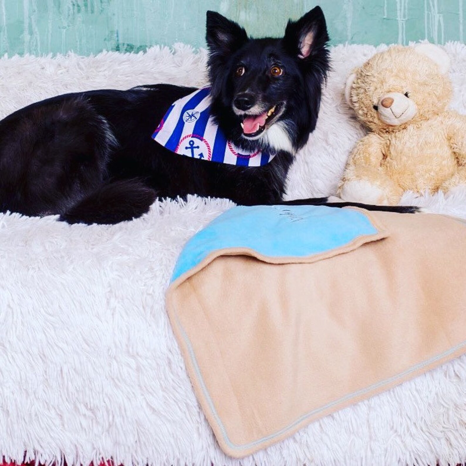 Personalized Dog Blanket Pet Blanket Dog Crate Blanket Large Etsy