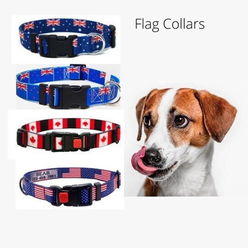 dog collar printed name
