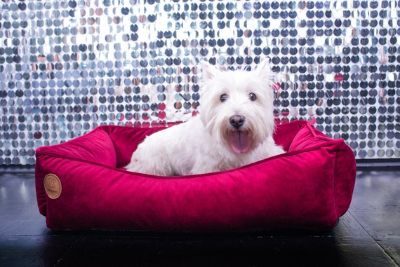 Letto per cani personalizzato per razza di cane West Highland White Terrier  / Moderna casa per cani di lusso personalizzata, copertura lavabile,  accogliente letto per cani xs xxl -  Italia