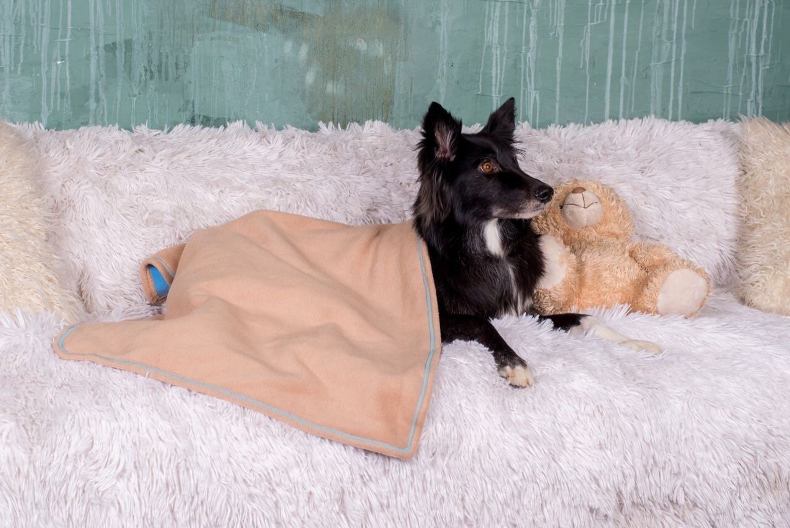 Personalized Dog Blanket Pet Blanket Dog Crate Blanket Large Etsy