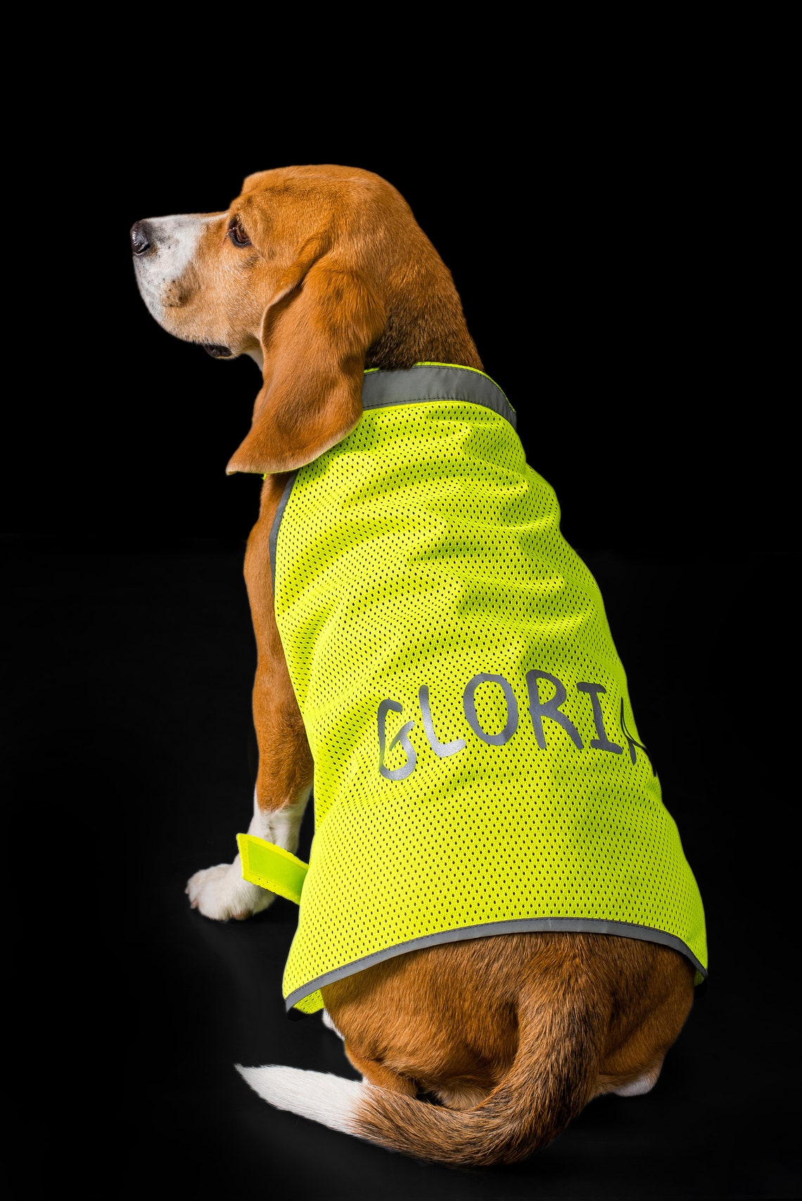 Reflective Safety Vest Lightweight Neon Vest For Small Etsy