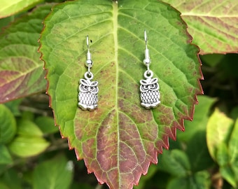 Owl Earrings, Owl, Earrings, Animal Jewellery, Wildlife Jewellery