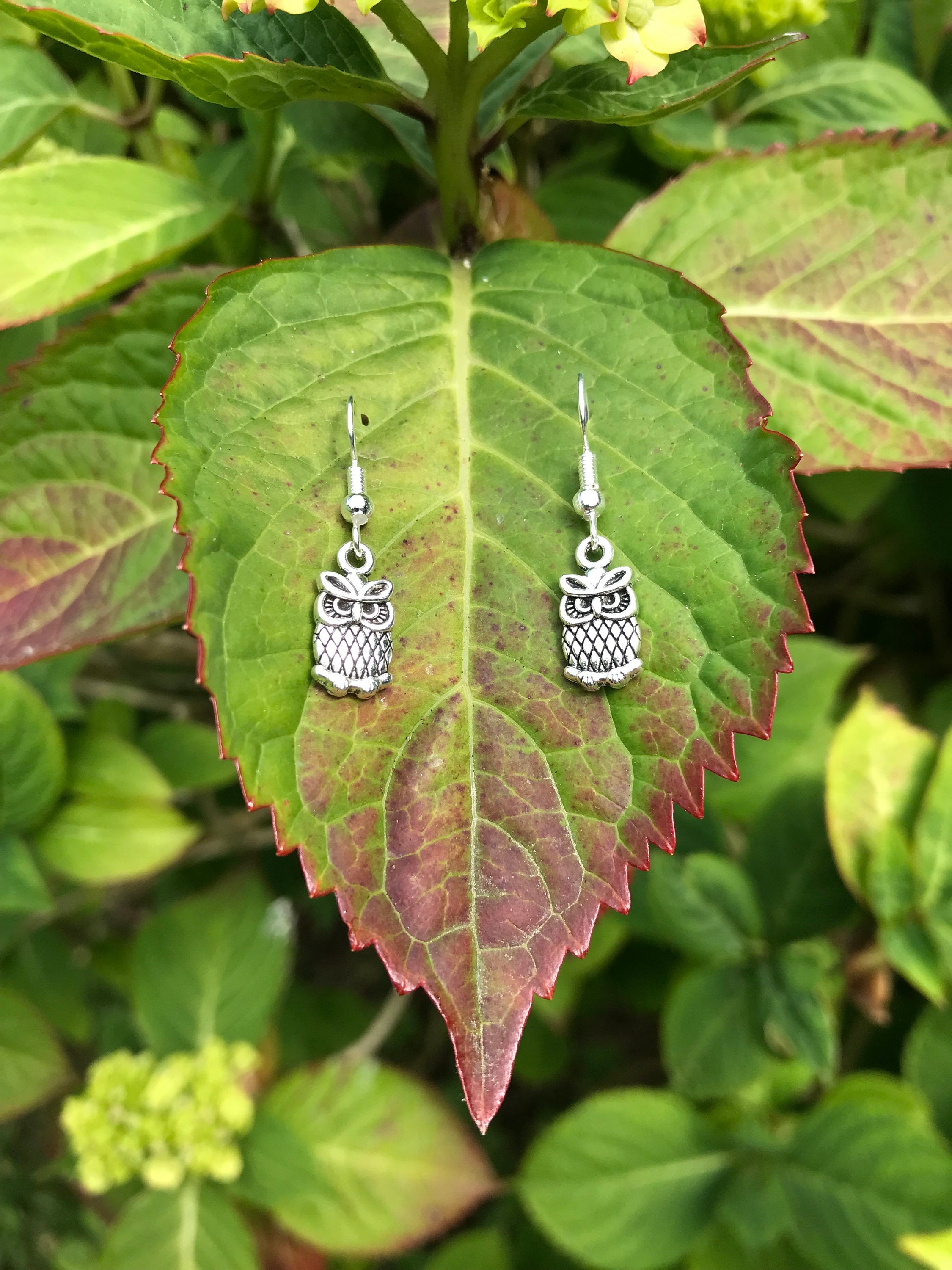 Owl Earrings, Owl, Earrings, Animal Jewellery, Wildlife Jewellery