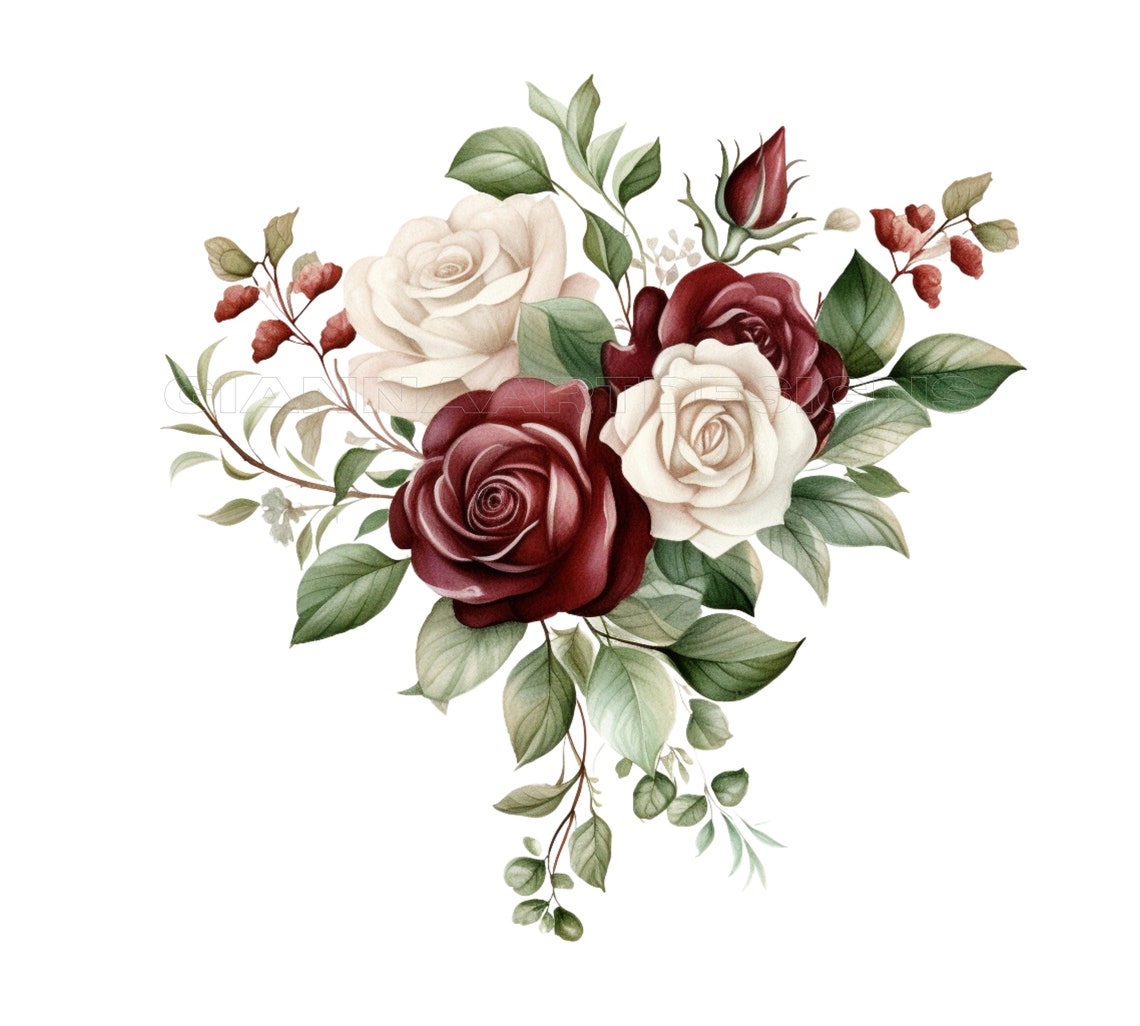 Dramatic Maroon Roses Watercolor Clipart: Deep Red Rose PNG, Luxurious ...