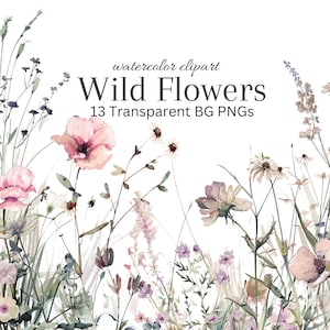 Wildflower Borders aquarel clipart: levendige wilde bloemen PNG, op de natuur geïnspireerde digitale kunst voor uitnodigingen, tijdschriften en decor